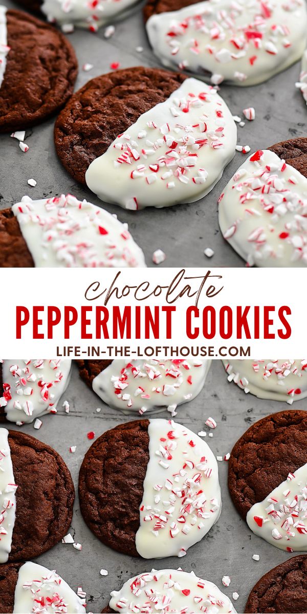 Peppermint Double Chocolate Cookies