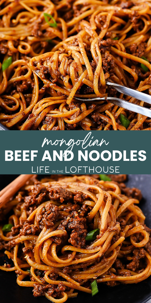 Mongolian Beef and Noodles PIN