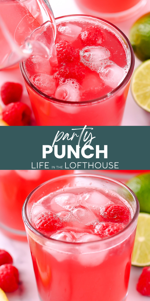 Party Punch PIN